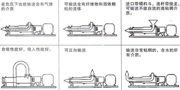 G型單螺桿泵